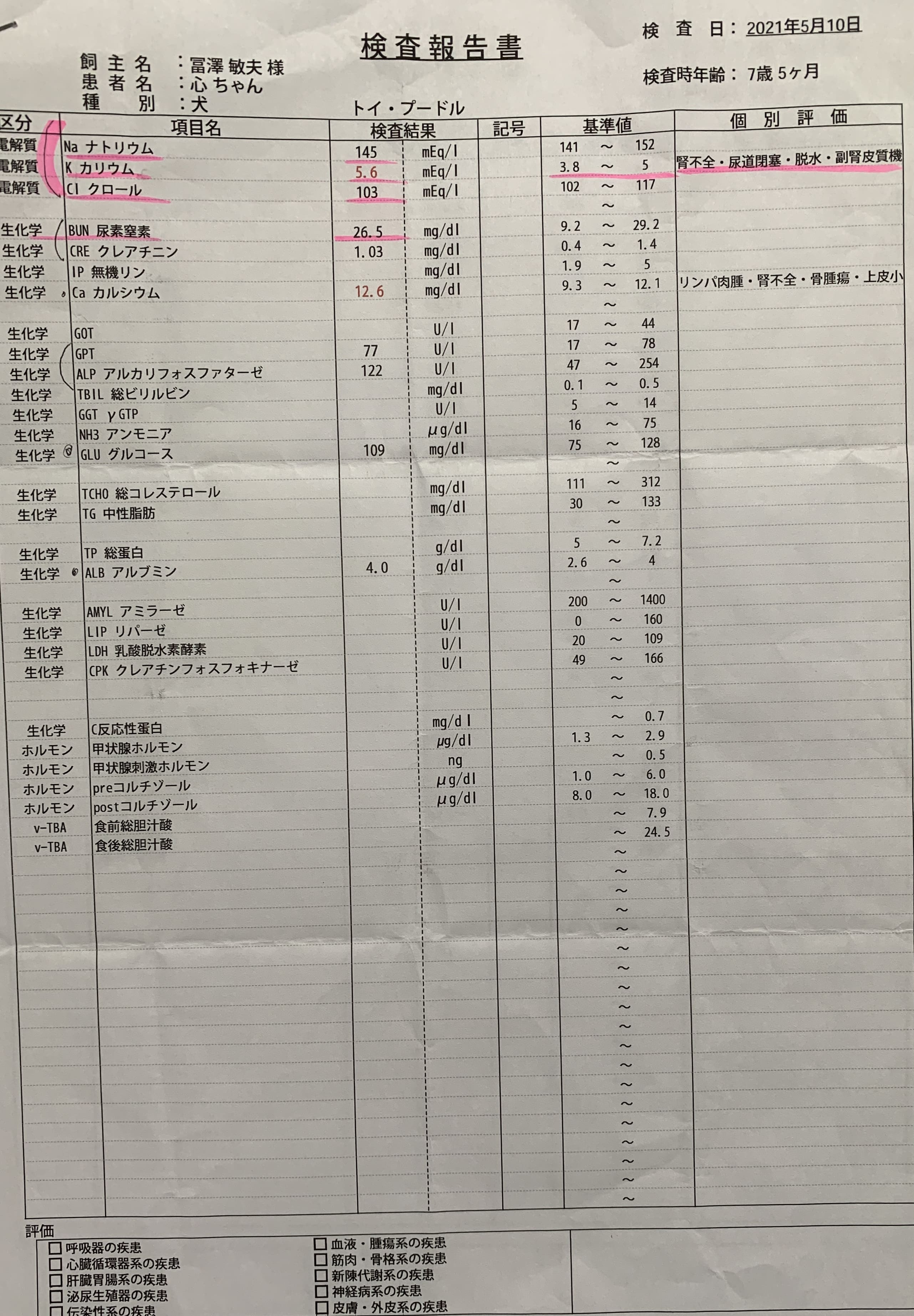 血液検査20210510