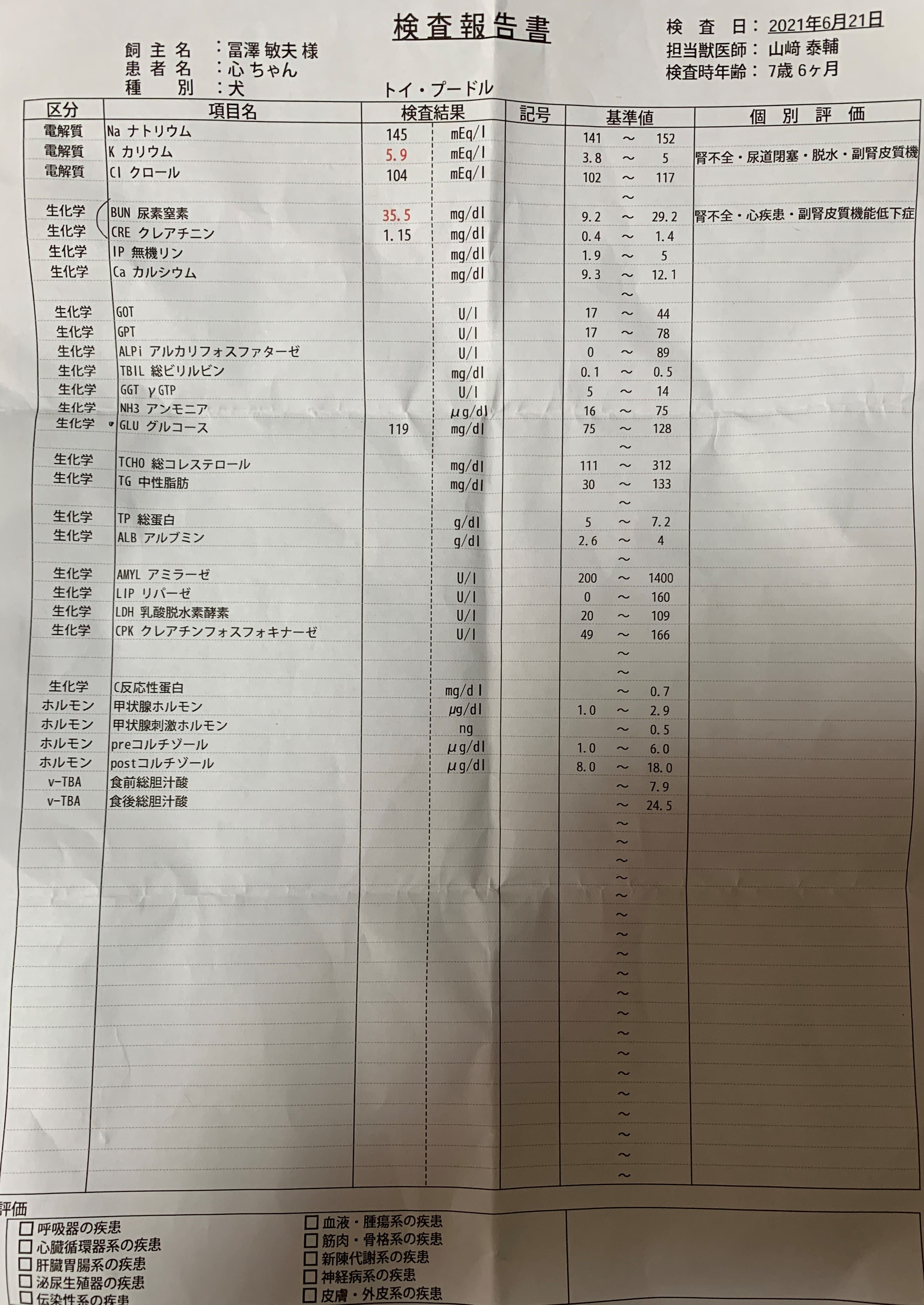 血液検査20210621