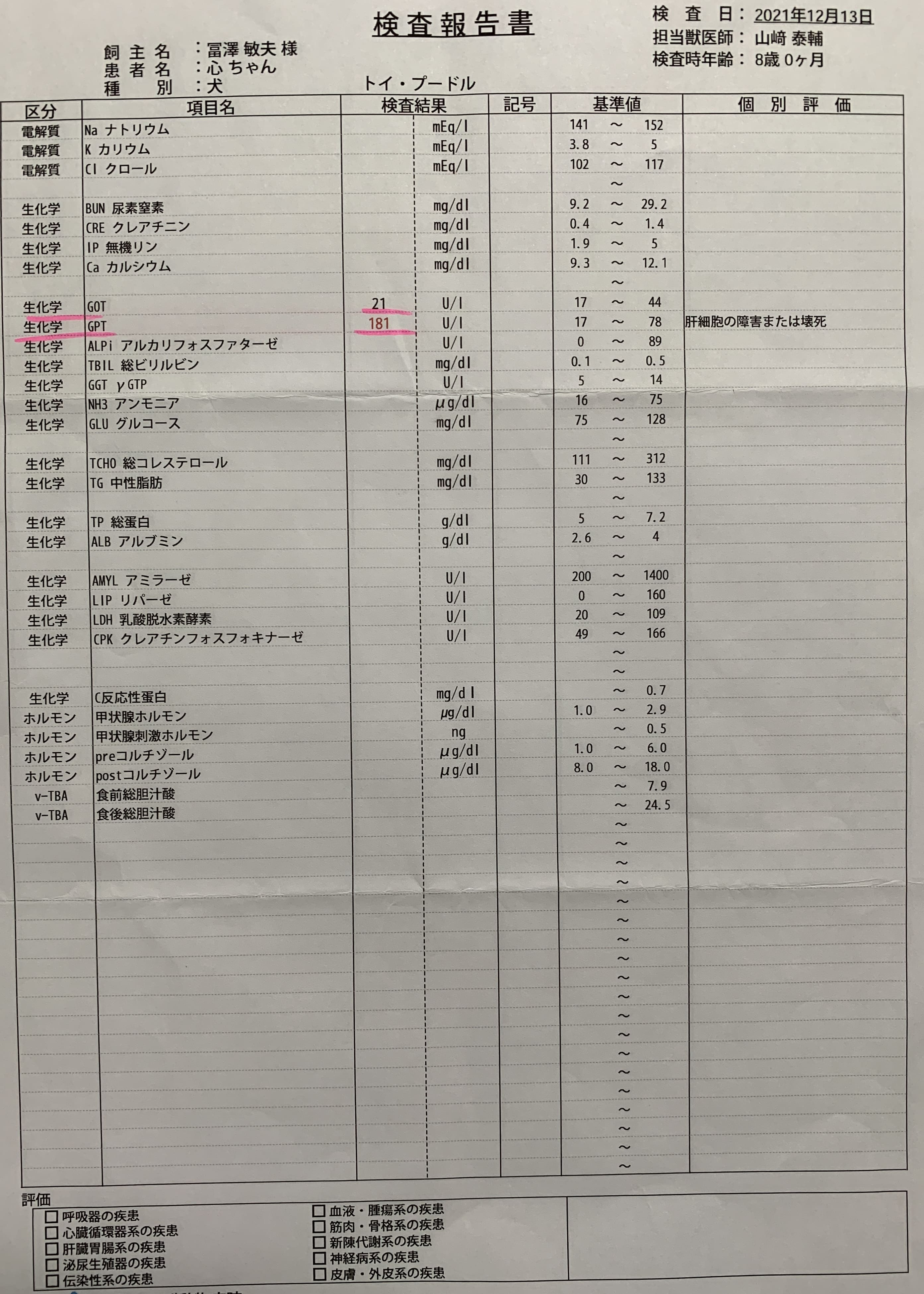 血液検査20211213