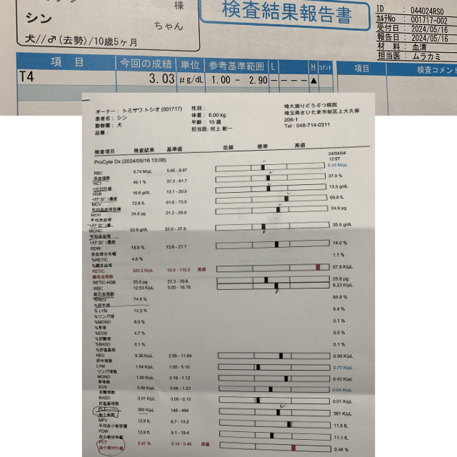 血液検査20240516